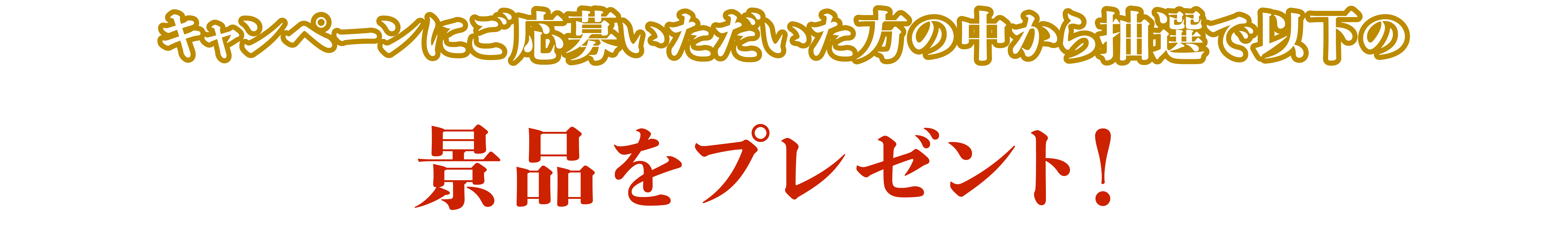 キャンペーンにご応募いただいた方の中から抽選で以下の景品をプレゼント！