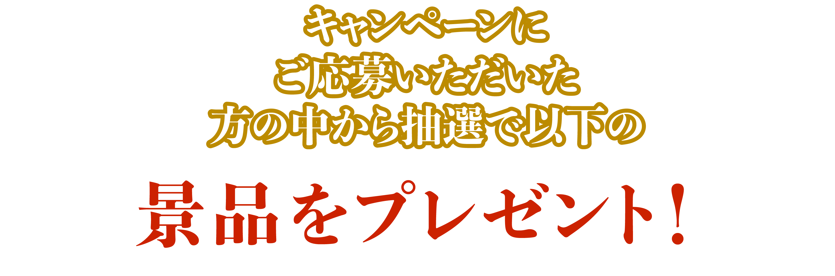 キャンペーンにご応募いただいた方の中から抽選で以下の景品をプレゼント！